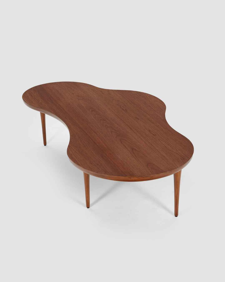 Amoeba Coffee Table