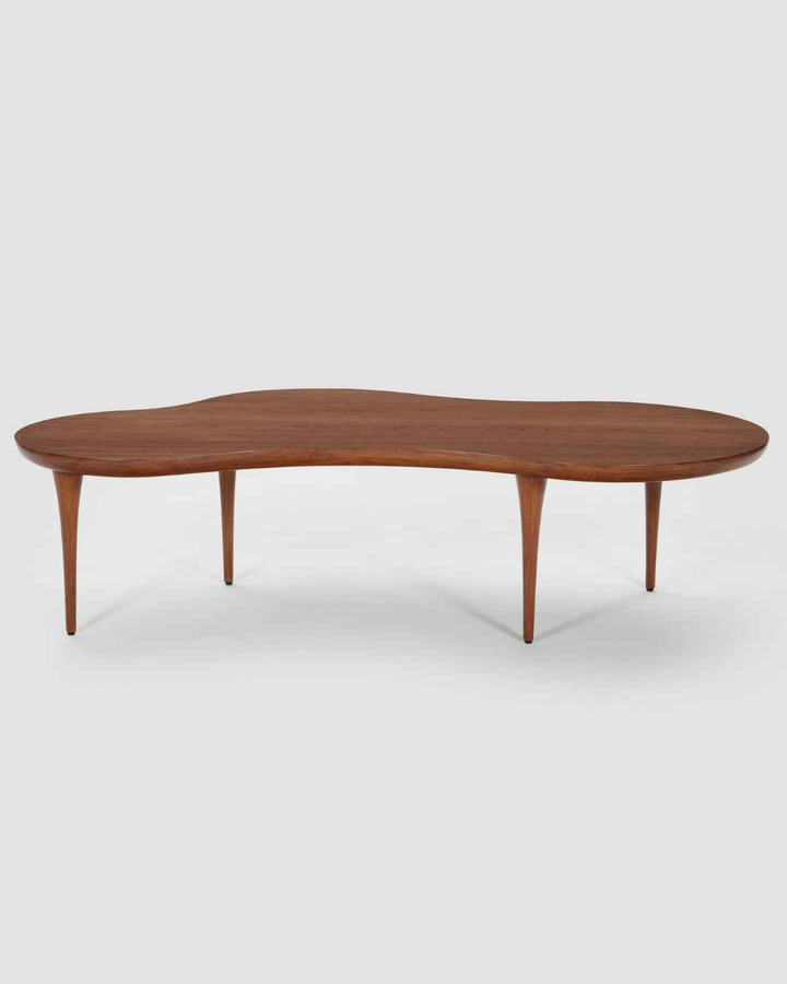 Amoeba Coffee Table