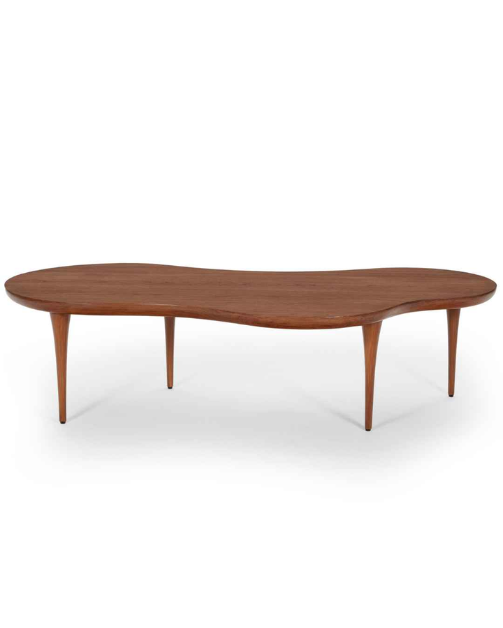 Amoeba Coffee Table