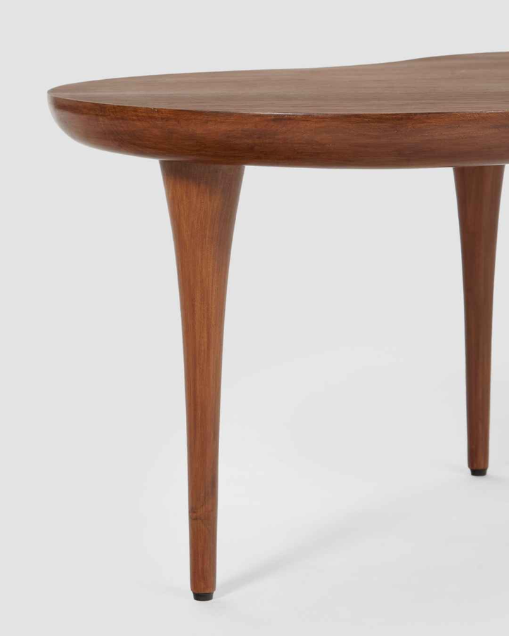 Amoeba Coffee Table