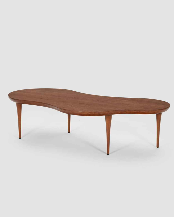 Amoeba Coffee Table
