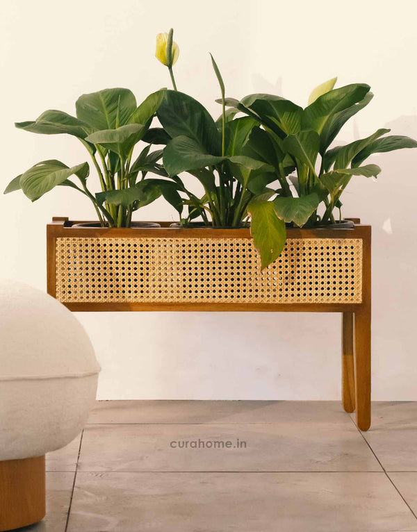 Gaya Plant Stand with Natural Rattan Weaving